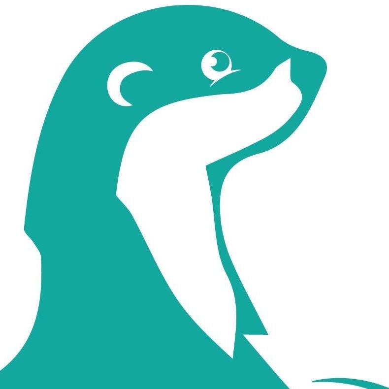 Splashy Fen Festival