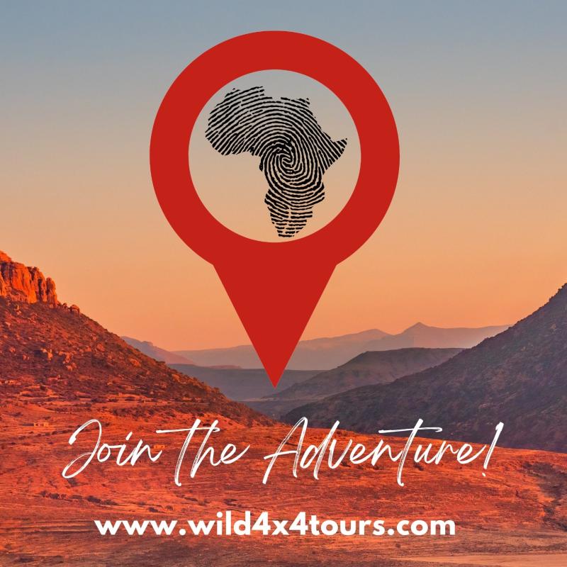 Wild 4×4 Tours